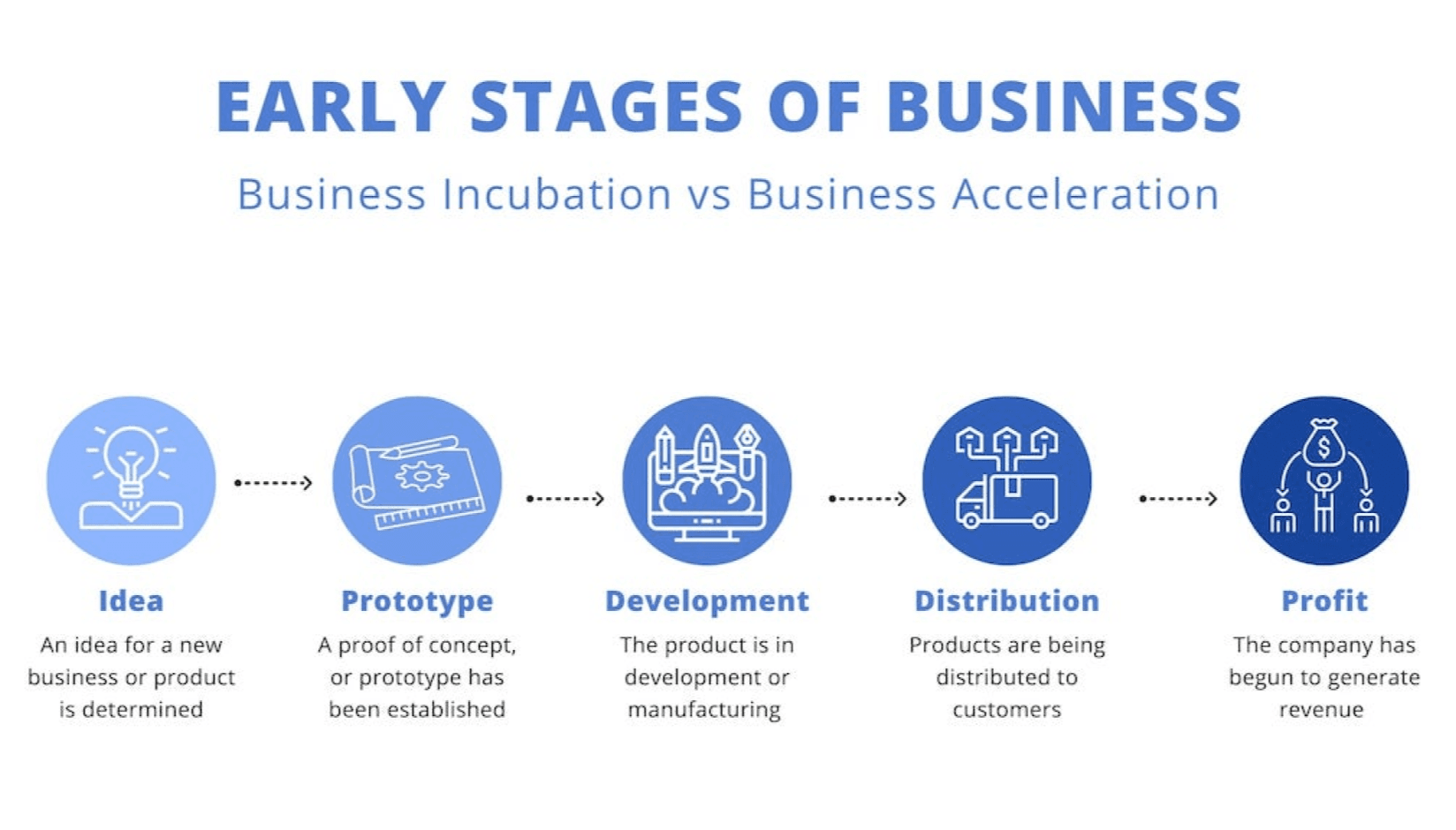 Incubation and Acceleration occur in the early stages of a business, beginning with an idea and turning into a profit