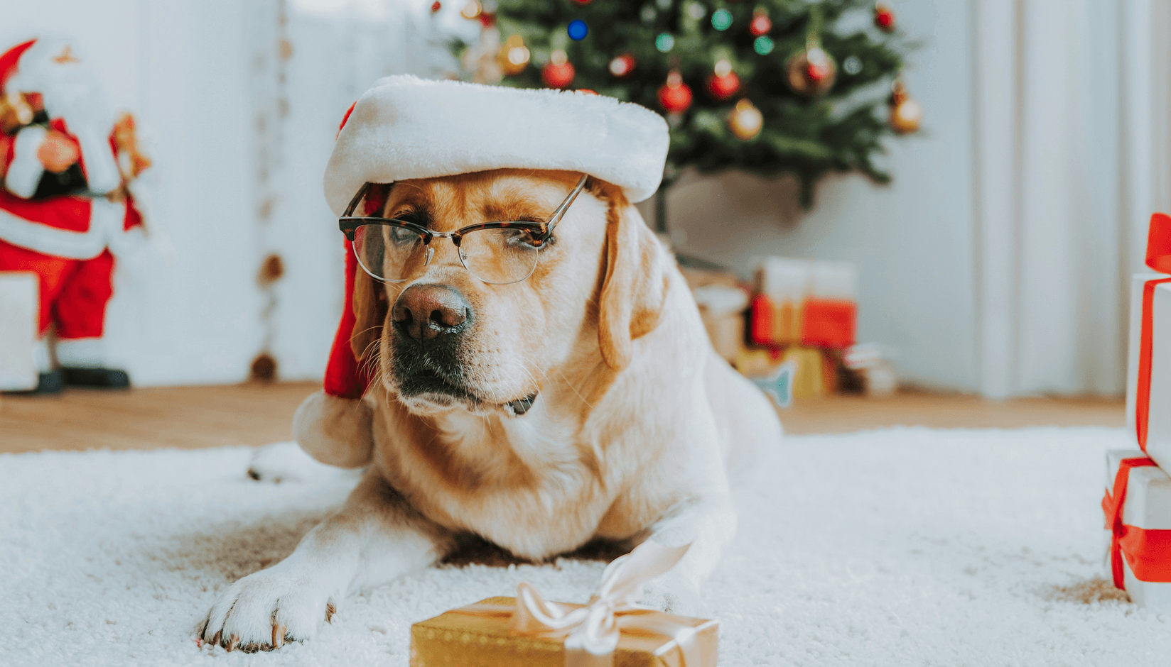 Dress code for coworking Christmas party