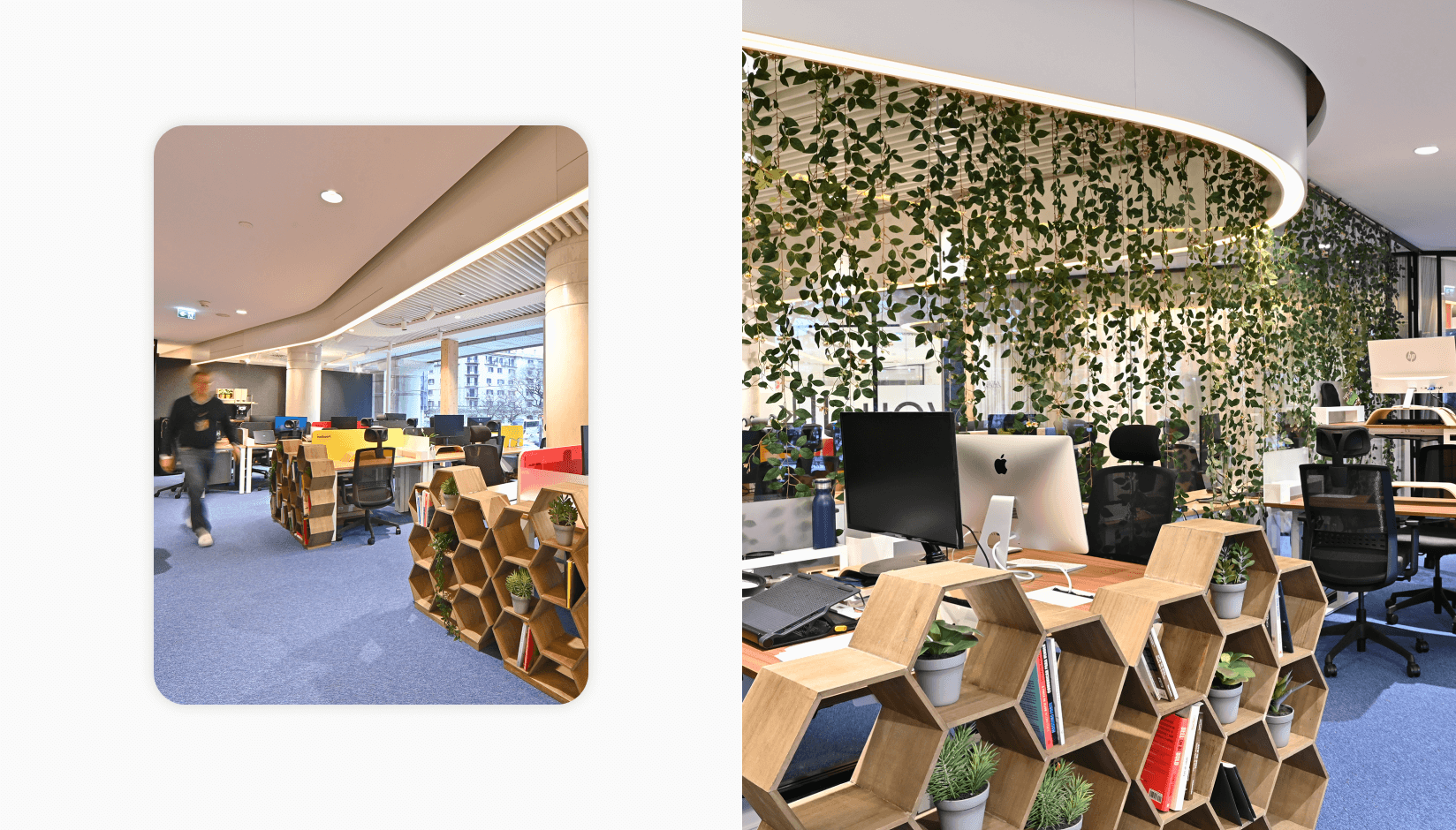 Avila Spaces - stunning interiors