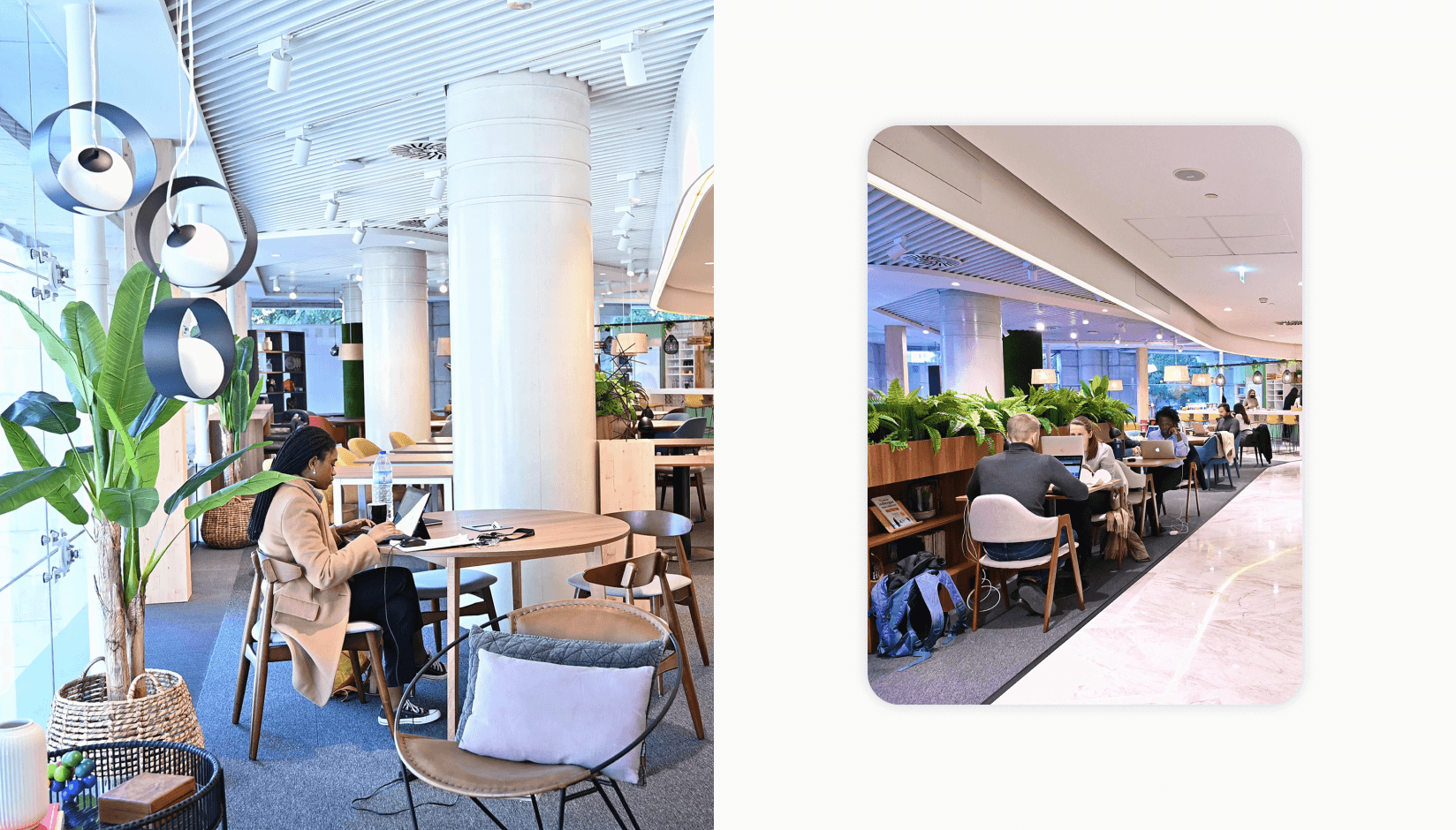 Avila Spaces lounge interior