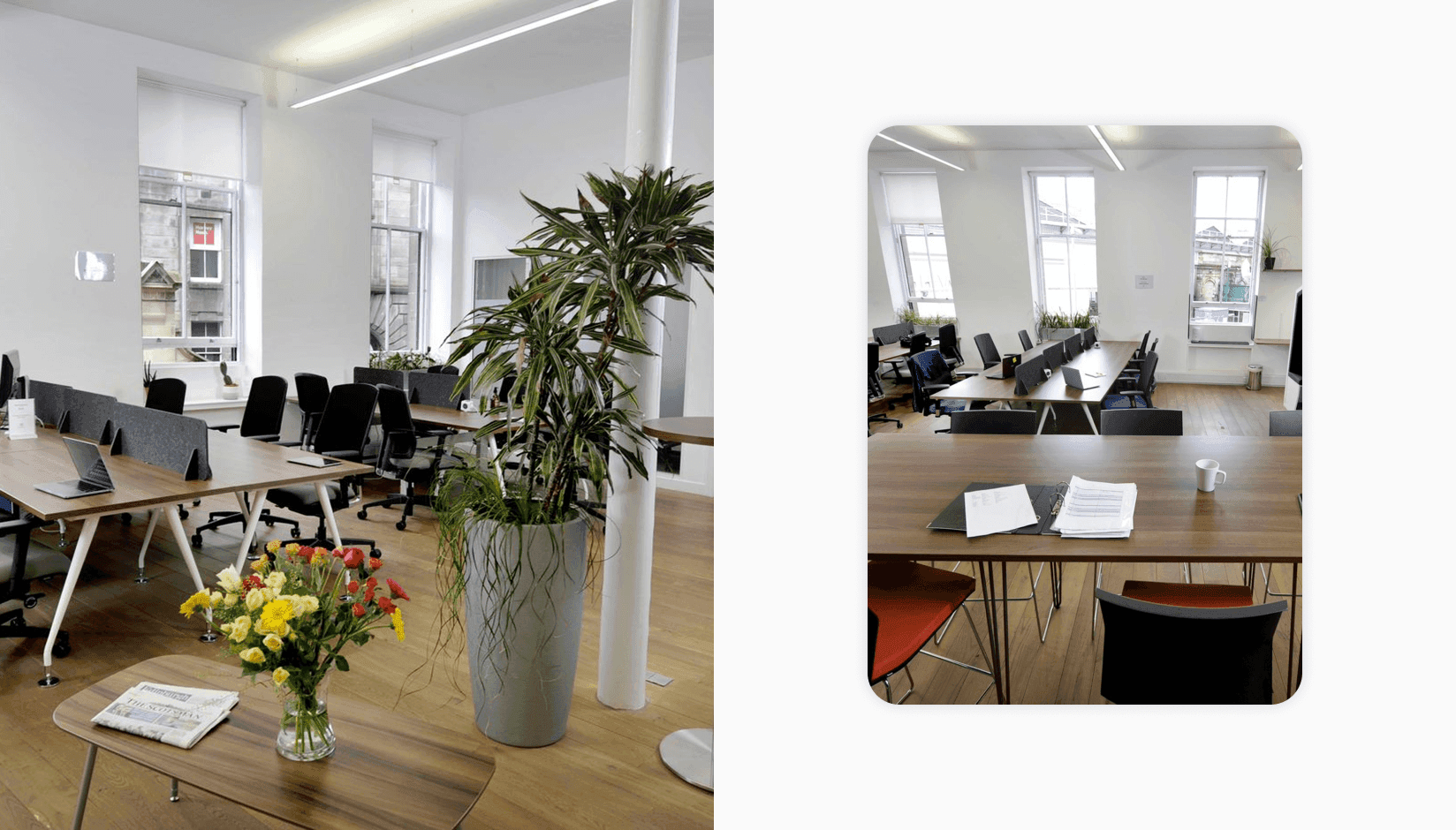 The Melting Pot coworking space interior