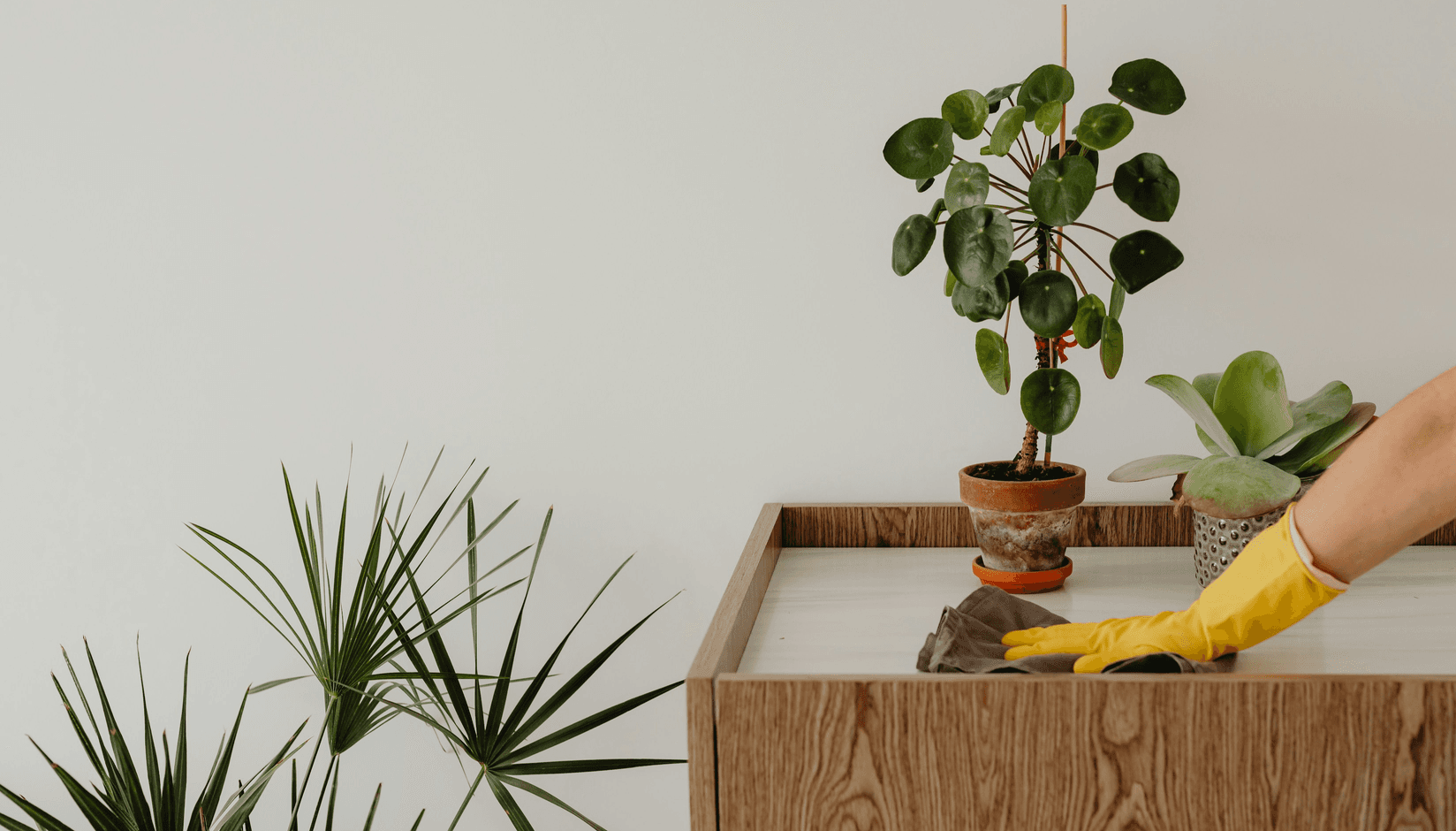 Is your coworking space clean enough? A hygiene checklist for managers.