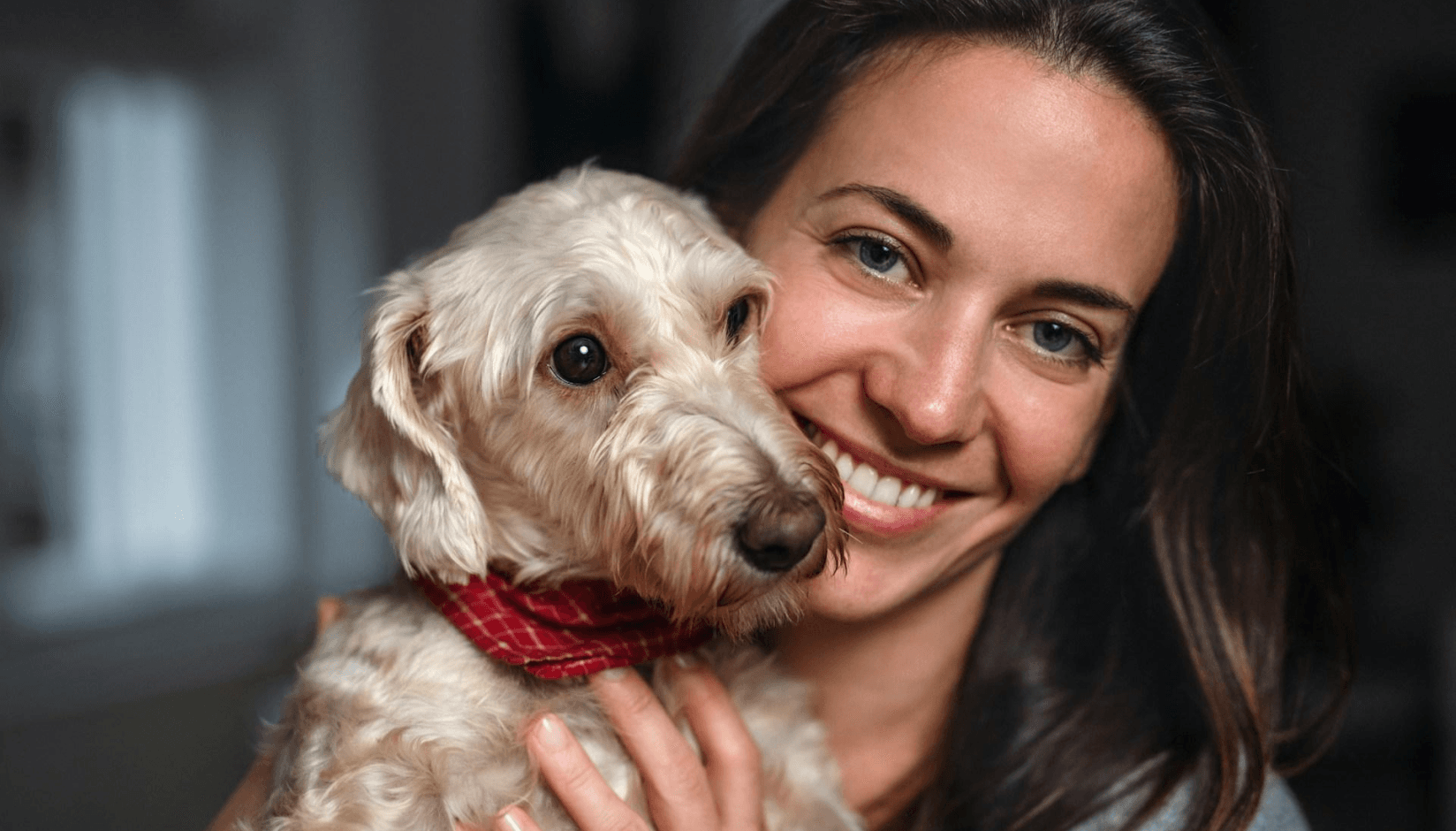 Dog-friendly Coworking Spaces: Pros, Cons & Concerns