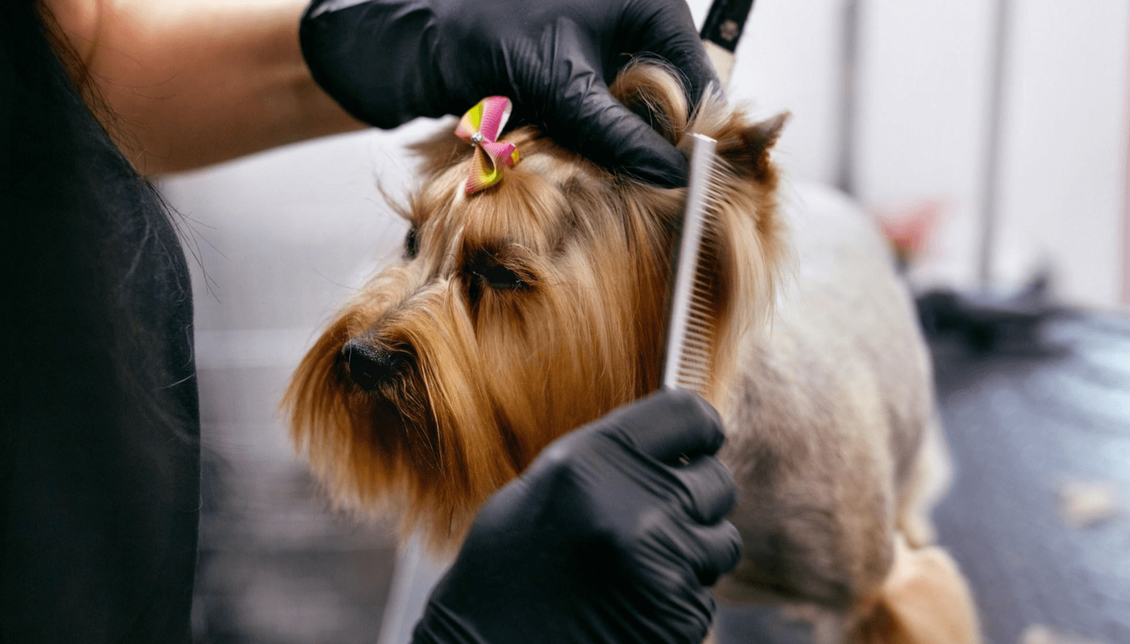 Grooming facilities at a coworking space