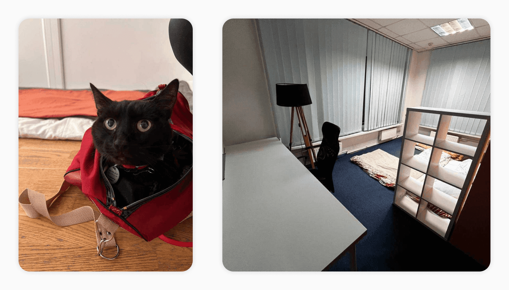 Refugees camp at Startup Depot coworking space