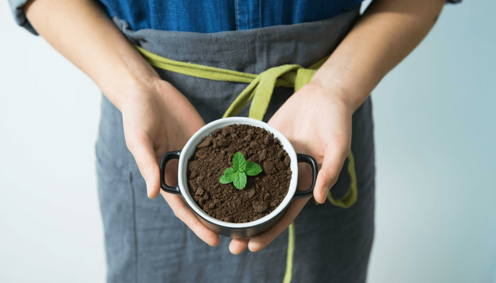 Coworking space manager holding a plant in the pot