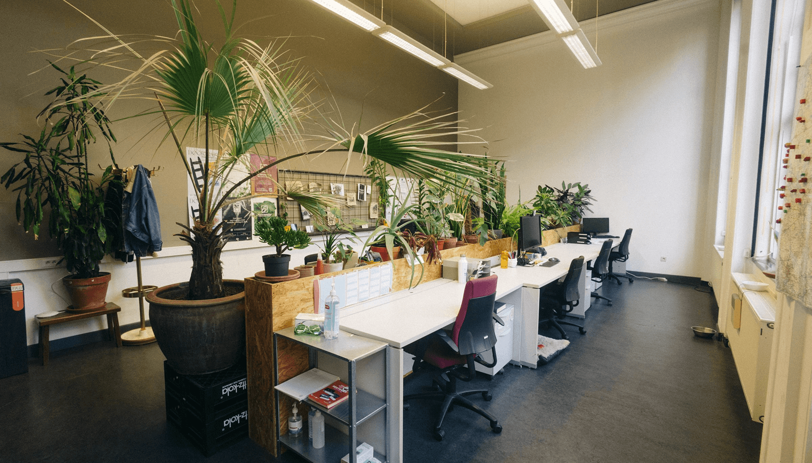 From frustration to automation: how De Werkplek boosted efficiency with Spacebring