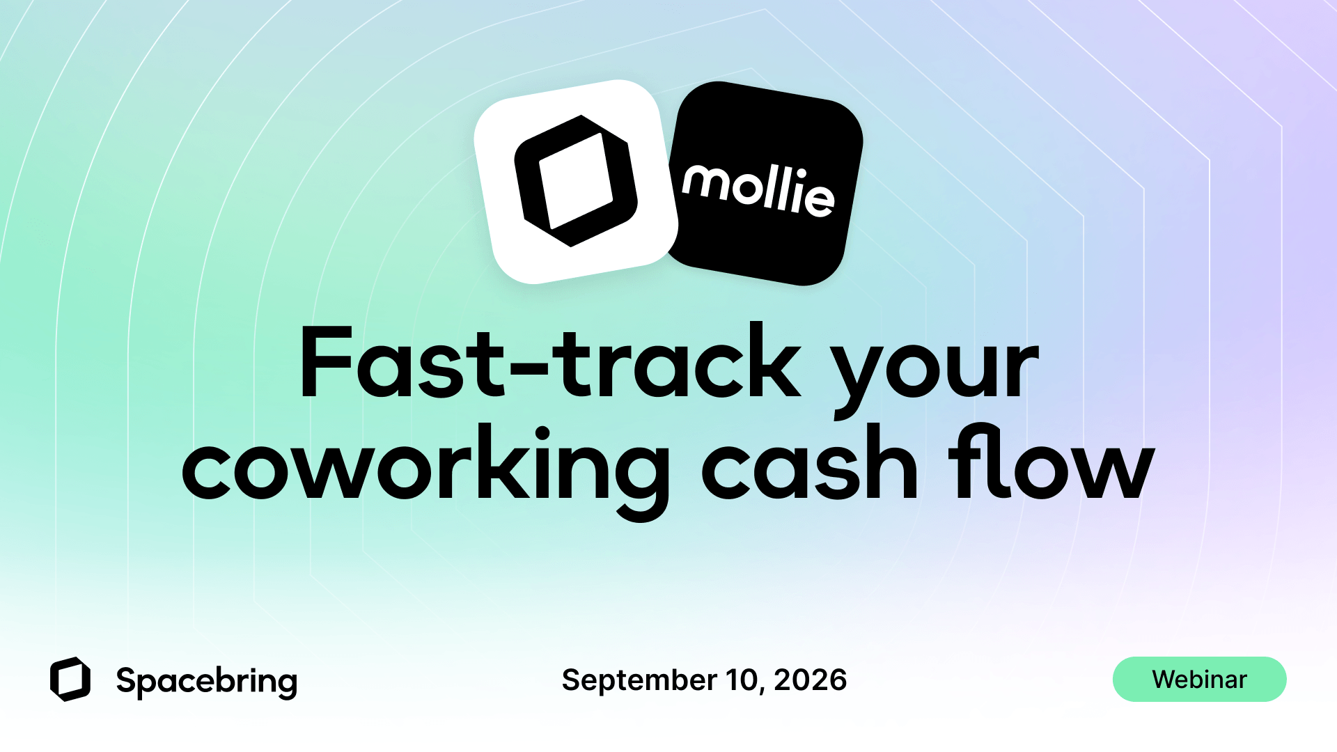 Fast-track your coworking cash flow with Mollie and Spacebring