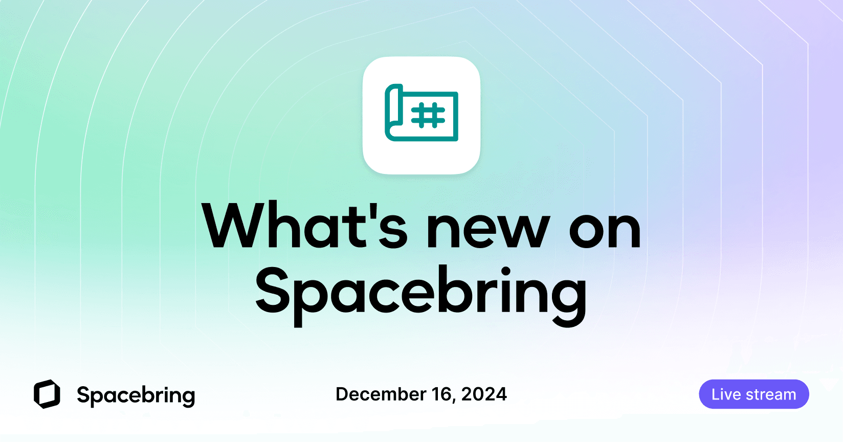 What's new on Spacebring in 2024